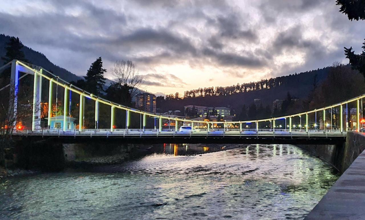 Happy Pandasn12 Hotel Borjomi ภายนอก รูปภาพ