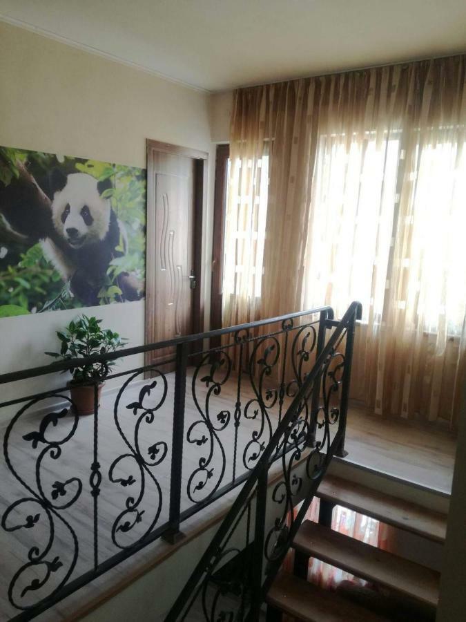 Happy Pandasn12 Hotel Borjomi ภายนอก รูปภาพ